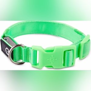 GOOD2GO Neon Green LED Light-Up Dog Collar Small